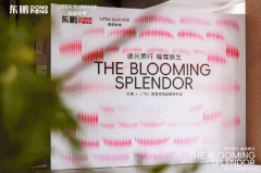 <b>东鹏控股高端局或将掀起岩板行业价值</b>