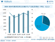 2025年陕西省西安市新质出产力成长研判：加快科